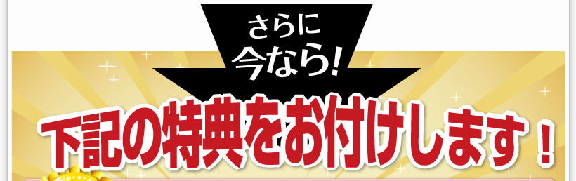 さらに今なら、下記特典をお付けします！ 