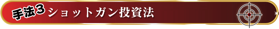 手法その3：ショットガン投資法