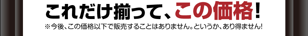 これだけ揃って、この価格！
※今後、この価格以下で販売することはありません。というか、あり得ません。